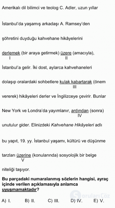 DGS Türkçe 2012 29. Soru