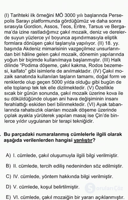 DGS Türkçe 2011 64. Soru