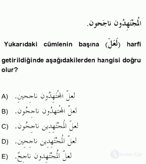 Arapça II Bütünleme 18. Soru