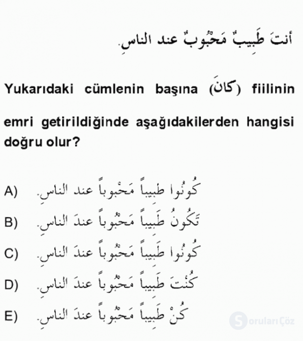 Arapça II Bütünleme 20. Soru