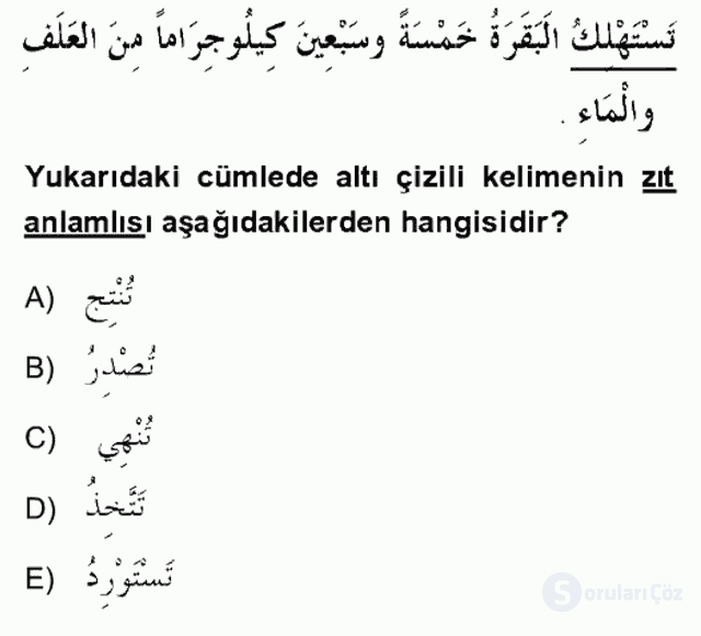 Arapça IV Bütünleme 1. Soru