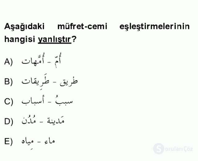 Arapça IV Bütünleme 18. Soru
