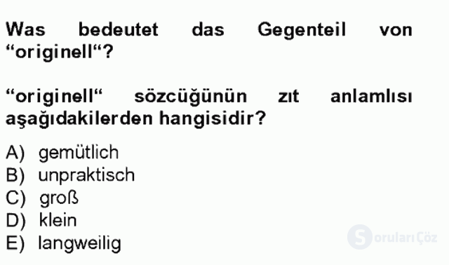 Almanca I Tek Ders Sınavı 7. Soru