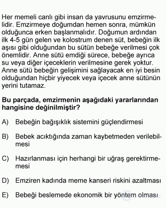 DGS Türkçe 2007 41. Soru