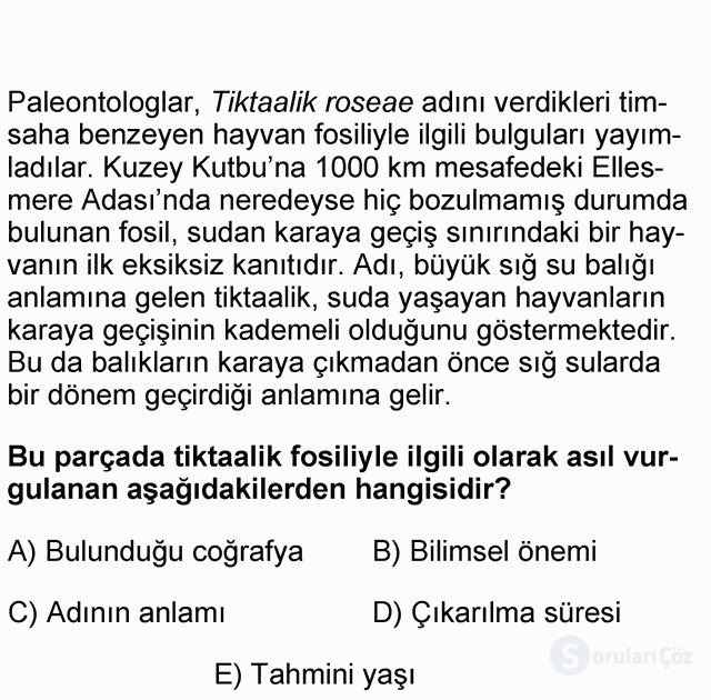 DGS Türkçe 2006 43. Soru
