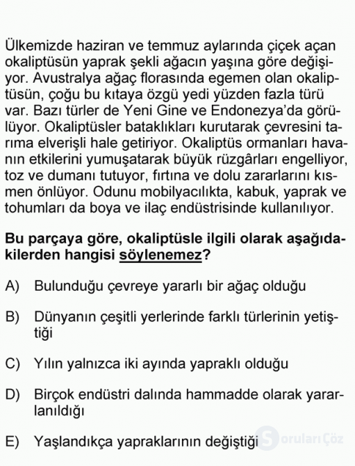 DGS Türkçe 2006 45. Soru