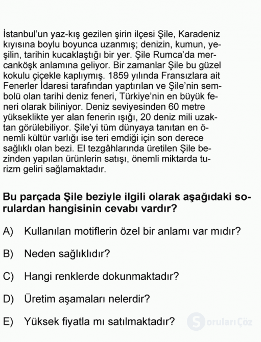 DGS Türkçe 2006 64. Soru