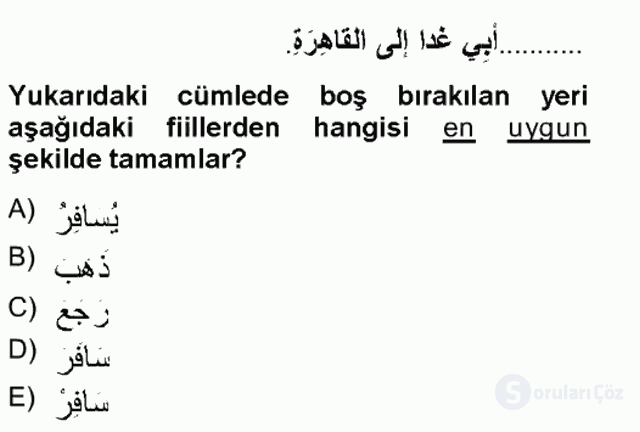 Arapça I Tek Ders Sınavı 14. Soru
