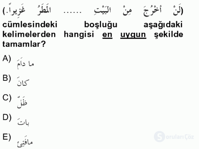 Arapça II Tek Ders Sınavı 20. Soru