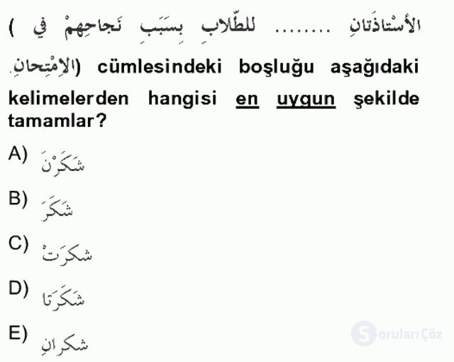 Arapça II Tek Ders Sınavı 3. Soru