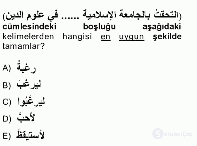 Arapça III Tek Ders Sınavı 12. Soru