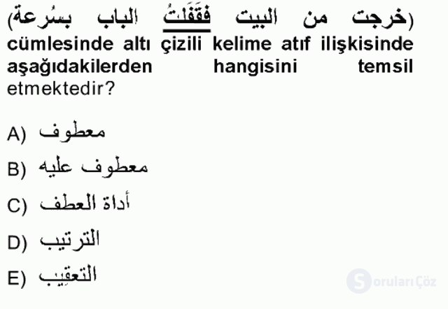 Arapça III Tek Ders Sınavı 16. Soru