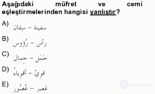 Arapça IV Tek Ders Sınavı 18. Soru