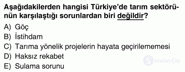 Türkiye Ekonomisi Deneme 7. Soru