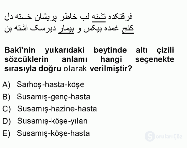 XVI. Yüzyıl Türk Edebiyatı Tek Ders Sınavı 7. Soru
