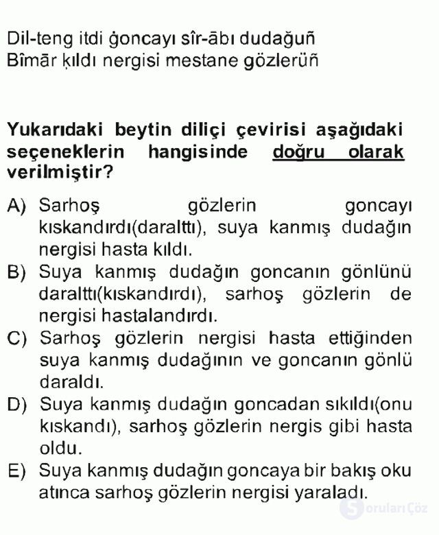 XIV-XV. Yüzyıllar Türk Edebiyatı Bahar Final 17. Soru