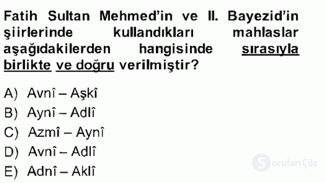 XIV-XV. Yüzyıllar Türk Edebiyatı Bahar Final 6. Soru