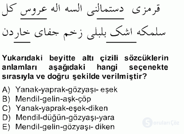 XVII. Yüzyıl Türk Edebiyatı Bahar Final 4. Soru