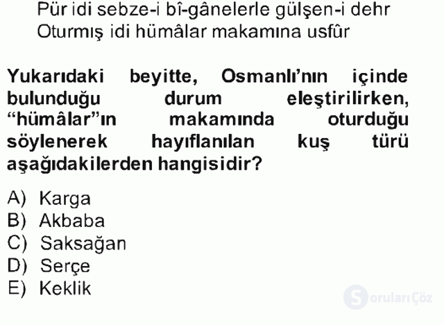 XVII. Yüzyıl Türk Edebiyatı Bahar Final 7. Soru