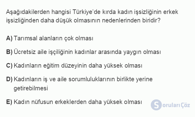 ÇEK303U 5. Ünite Türkiye'de İstihdam ve İşsizlik Testi I 10. Soru