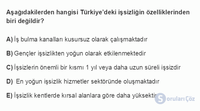 ÇEK303U 5. Ünite Türkiye'de İstihdam ve İşsizlik Testi I 13. Soru