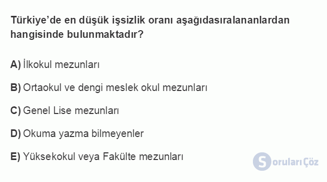 ÇEK303U 5. Ünite Türkiye'de İstihdam ve İşsizlik Testi I 17. Soru