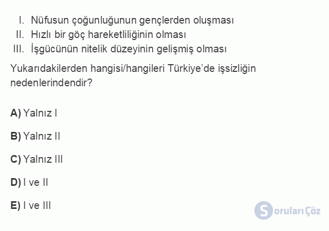 ÇEK303U 5. Ünite Türkiye'de İstihdam ve İşsizlik Testi I 18. Soru