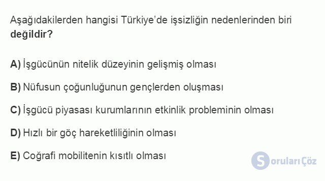 ÇEK303U 5. Ünite Türkiye'de İstihdam ve İşsizlik Testi I 8. Soru