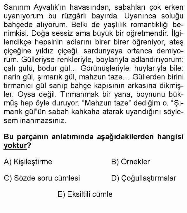 LYS Türk Dili ve Edebiyatı Soruları 13. Soru