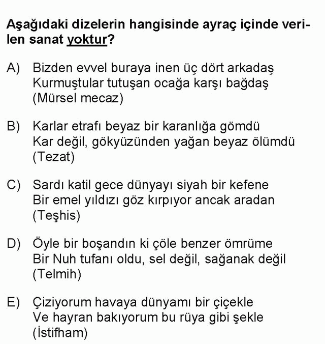 LYS Türk Dili ve Edebiyatı Soruları 21. Soru