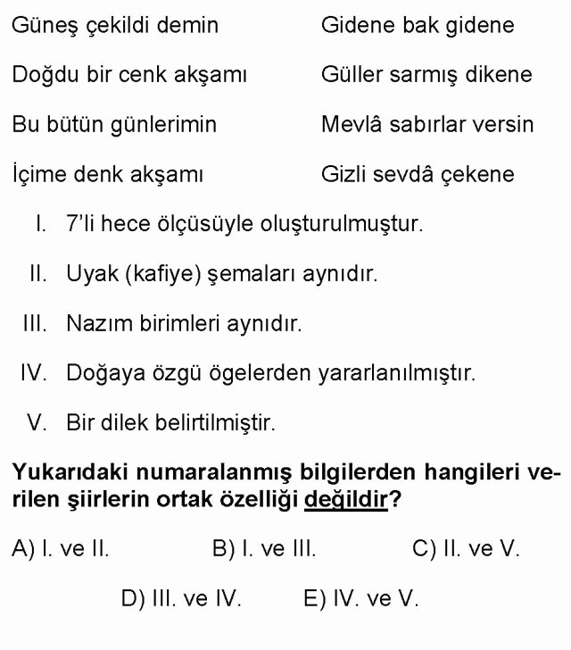 LYS Türk Dili ve Edebiyatı Soruları 30. Soru