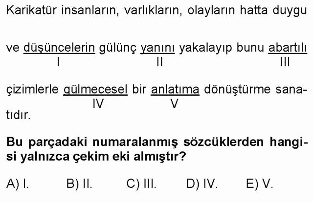 LYS Türk Dili ve Edebiyatı Soruları 5. Soru