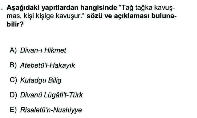 LYS Türk Dili ve Edebiyatı Soruları 31. Soru