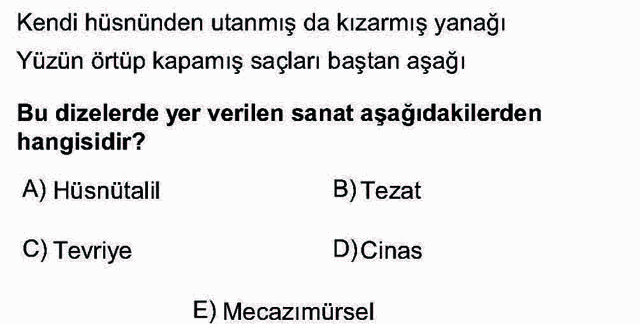 LYS Türk Dili ve Edebiyatı Soruları 25. Soru