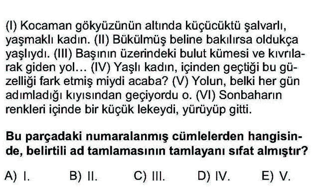 LYS Türk Dili ve Edebiyatı Soruları 6. Soru