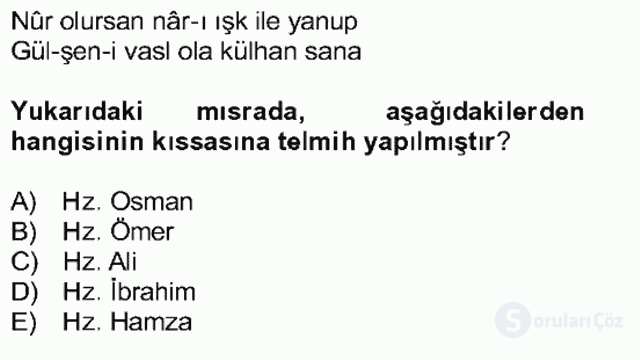 Eski Türk Edebiyatına Giriş: Söz Sanatları Bahar Dönemi Final 25. Soru