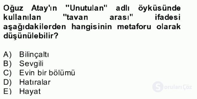 Yeni Türk Edebiyatına Giriş II Bahar Dönemi Final 21. Soru