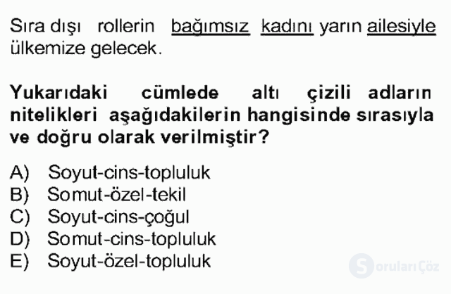 Türkçe Biçim Bilgisi Bahar Final 4. Soru