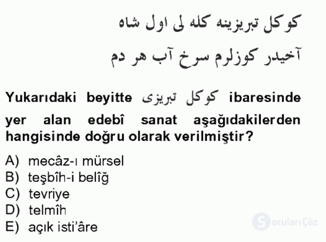 XIV-XV. Yüzyıllar Türk Edebiyatı Bahar Final 18. Soru