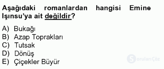Çağdaş Türk Romanı Bahar Final 15. Soru