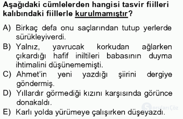 Türkçe Cümle Bilgisi II Bahar Final 10. Soru