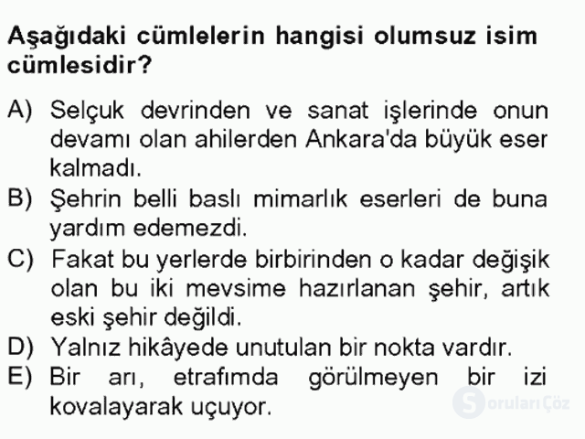 Türkçe Cümle Bilgisi II Bahar Final 13. Soru