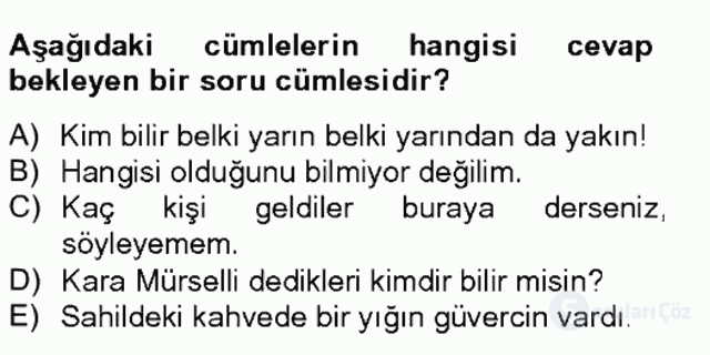 Türkçe Cümle Bilgisi II Bahar Final 20. Soru