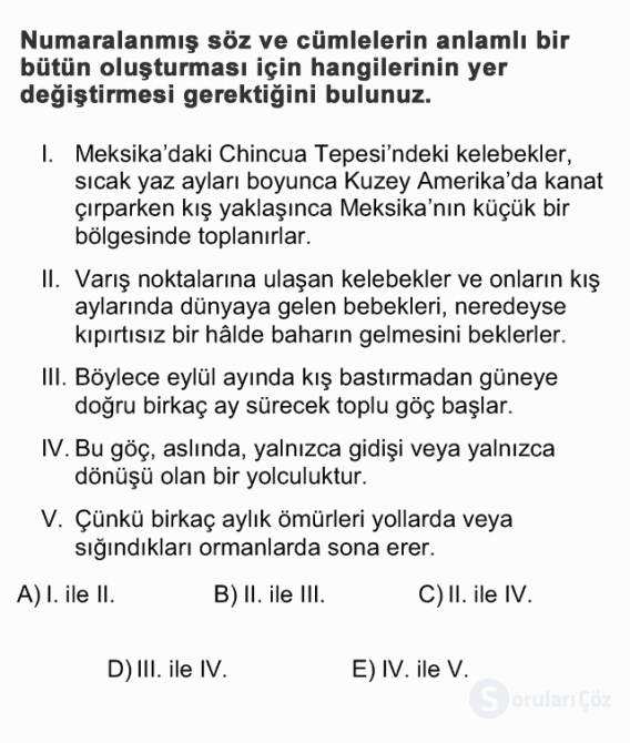 DGS Türkçe 2013 16. Soru