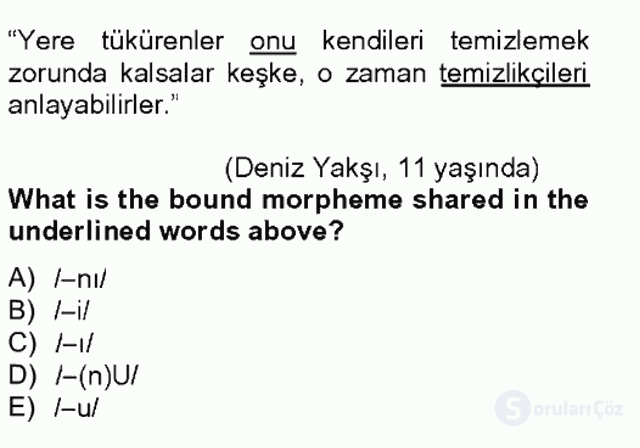 Türkçe Ses ve Biçim Bilgisi Tek Ders 6. Soru